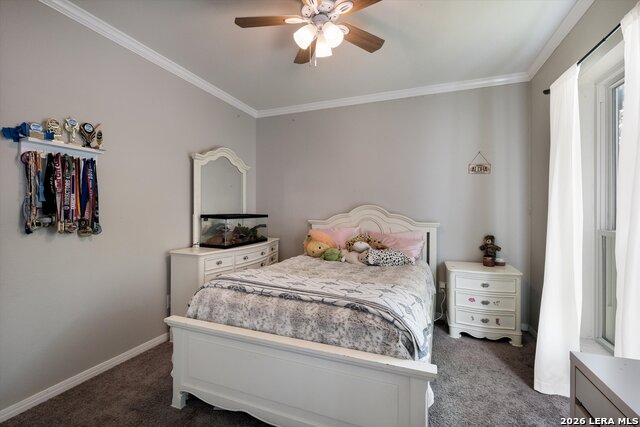 Image 18 of 28 For 25167 Flying Arrow