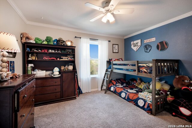 Image 20 of 28 For 25167 Flying Arrow