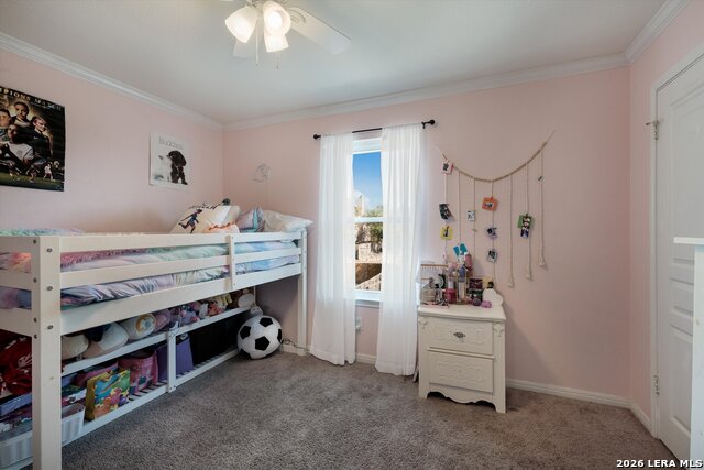 Image 22 of 28 For 25167 Flying Arrow