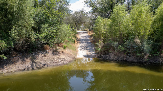 Image 12 of 13 For 39 Jitterbug