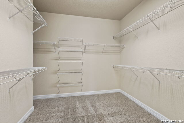 Image 16 of 26 For 2618 Gray Whales