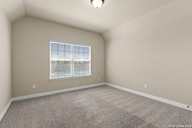 Image 19 of 26 For 2618 Gray Whales