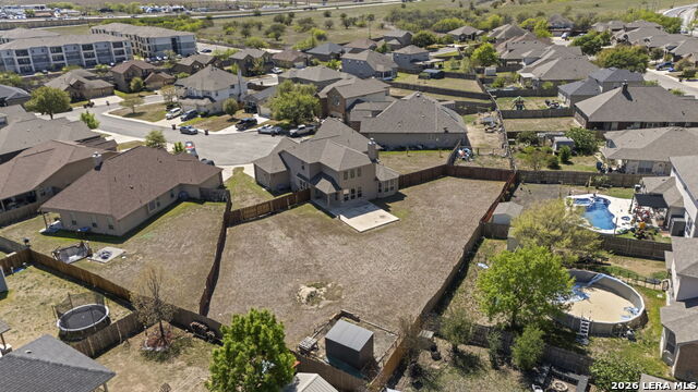 Image 4 of 26 For 2618 Gray Whales