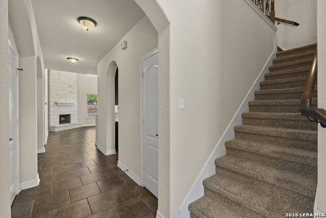 Image 5 of 26 For 2618 Gray Whales