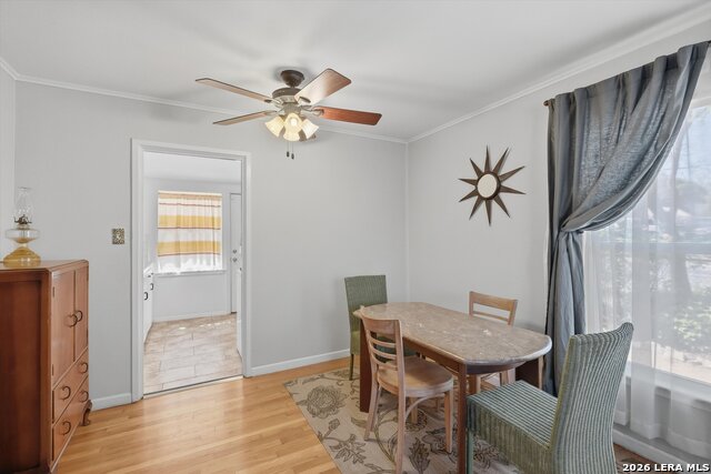 Image 7 of 25 For 702 Sumner Dr