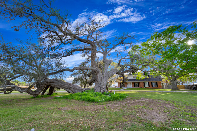 Image 3 of 38 For 2212 Fm 466  