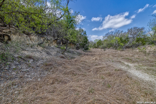 Listing photo id 9 for 149,150,151 Fm 1796