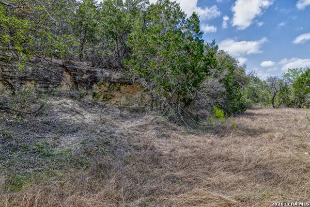 Listing photo id 10 for 149,150,151 Fm 1796