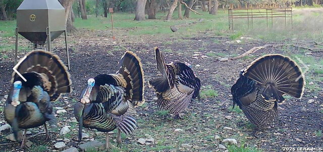 Listing photo id 11 for 149,150,151 Fm 1796