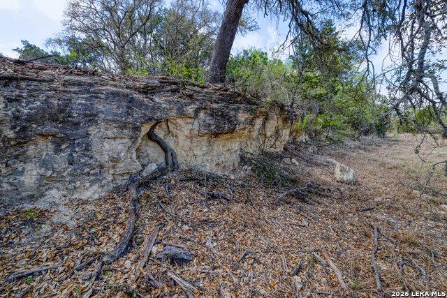 Listing photo id 12 for 149,150,151 Fm 1796