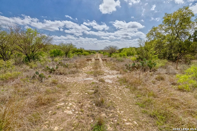 Listing photo id 13 for 149,150,151 Fm 1796