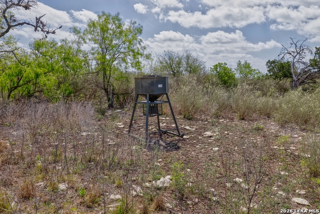 Listing photo id 14 for 149,150,151 Fm 1796