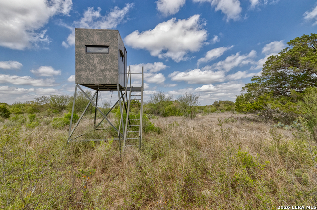 Listing photo id 16 for 149,150,151 Fm 1796