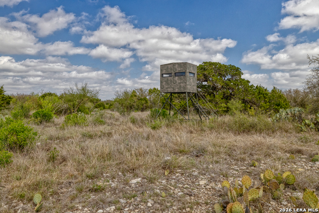 Listing photo id 17 for 149,150,151 Fm 1796