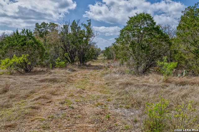 Listing photo id 19 for 149,150,151 Fm 1796