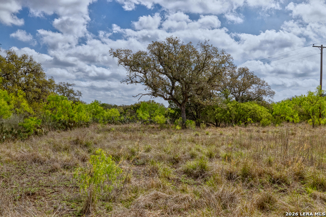 Listing photo id 20 for 149,150,151 Fm 1796