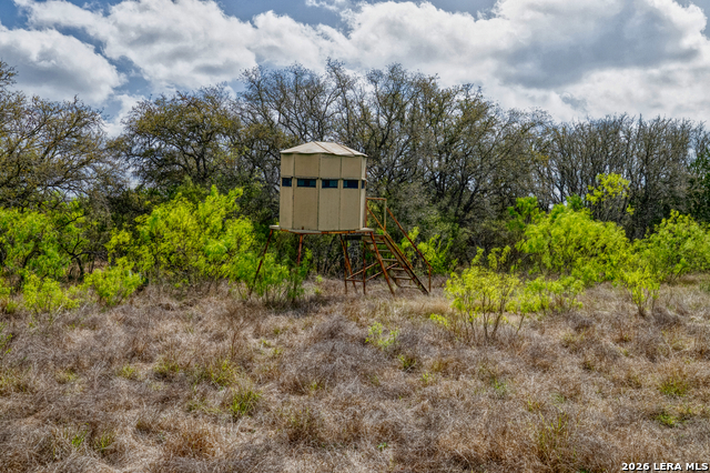 Listing photo id 21 for 149,150,151 Fm 1796