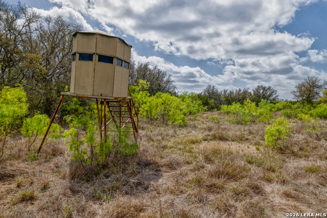 Listing photo id 22 for 149,150,151 Fm 1796