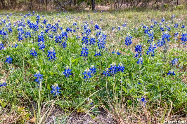 Listing photo id 23 for 149,150,151 Fm 1796