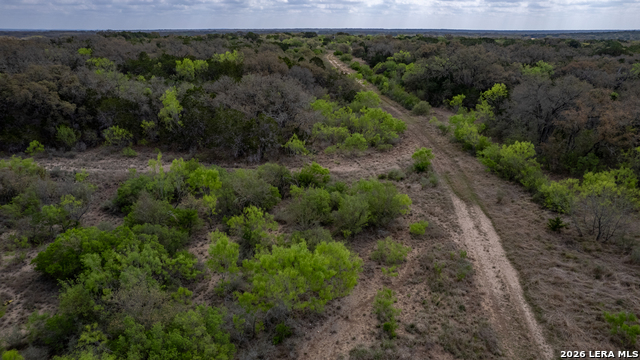 Listing photo id 28 for 149,150,151 Fm 1796