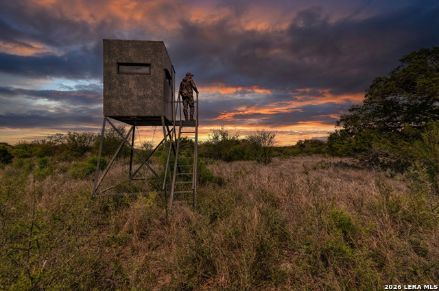 Listing photo id 30 for 149,150,151 Fm 1796