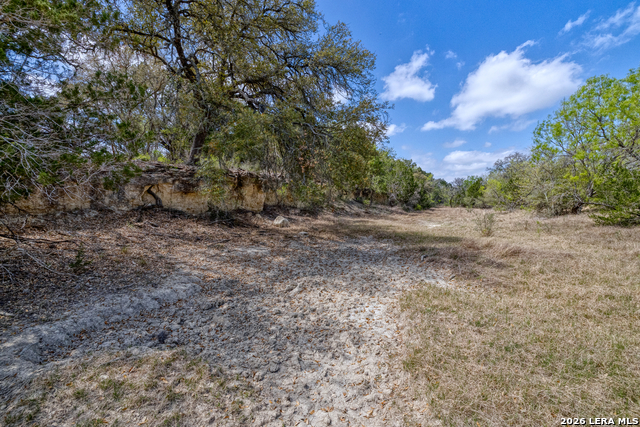 Listing photo id 4 for 149,150,151 Fm 1796
