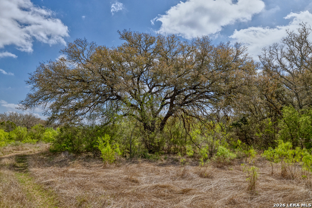 Listing photo id 5 for 149,150,151 Fm 1796