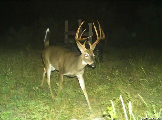 Listing photo id 6 for 149,150,151 Fm 1796