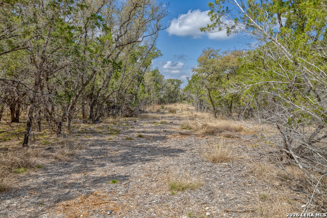 Listing photo id 7 for 149,150,151 Fm 1796