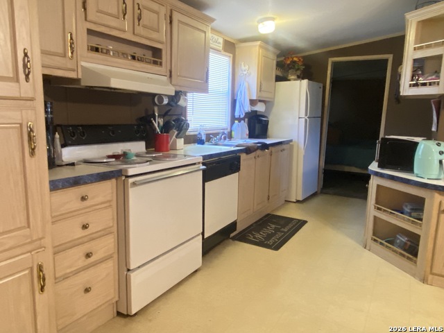 Image 15 of 41 For 269 Y O Coleman