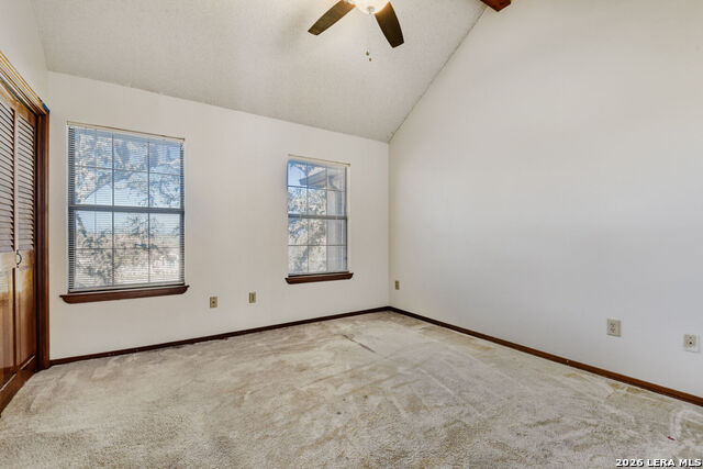 Image 13 of 44 For 29342 Seabiscuit