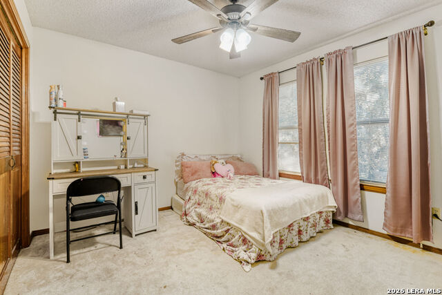 Image 18 of 44 For 29342 Seabiscuit