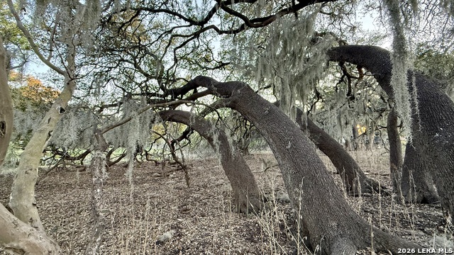 Image 10 of 16 For 638 Cool Spring Drive