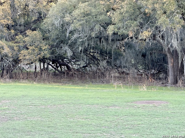 Image 3 of 16 For 638 Cool Spring Drive