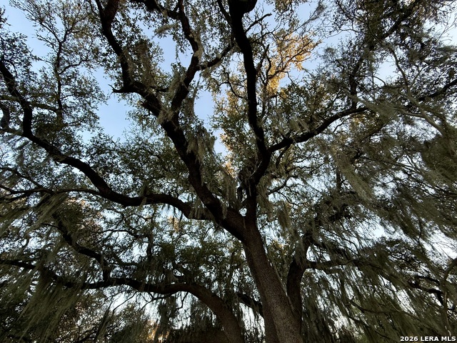 Image 5 of 16 For 638 Cool Spring Drive