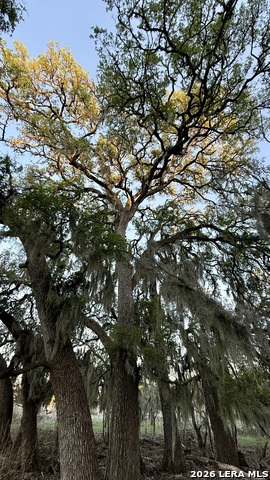 Image 9 of 16 For 638 Cool Spring Drive