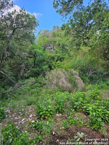 Details for 0 Happy Hollow, New Braunfels, TX 78132