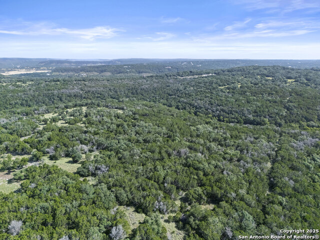 Image 10 of 19 For 0 Happy Hollow