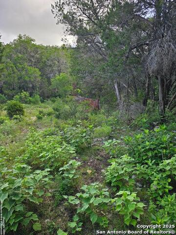 Image 4 of 19 For 0 Happy Hollow