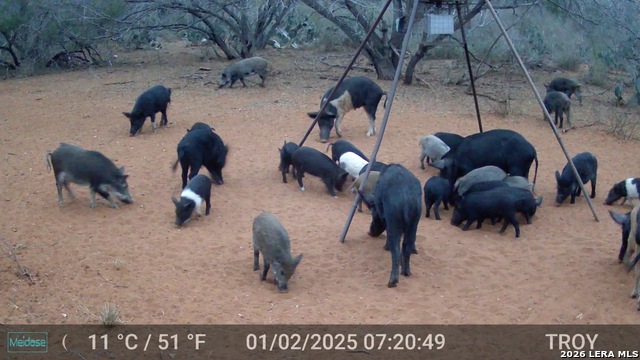 Image 24 of 28 For 15655 Highway 140