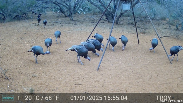 Image 25 of 28 For 15655 Highway 140