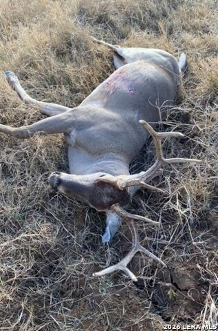 Image 26 of 28 For 15655 Highway 140