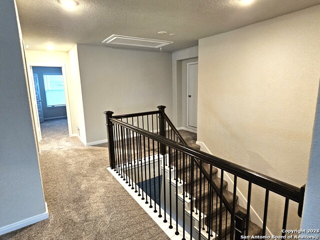 Image 13 of 38 For 12549 Rothau Dr