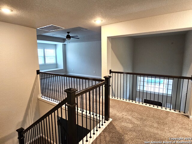 Image 14 of 38 For 12549 Rothau Dr