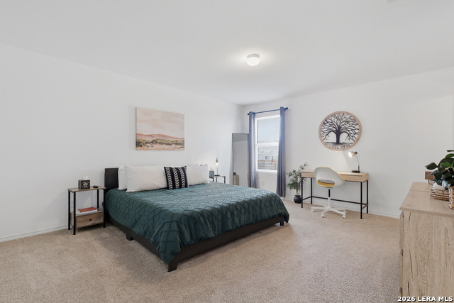 Image 10 of 21 For 5938 Autumn Palms