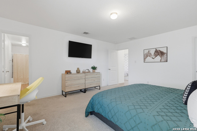 Image 11 of 21 For 5938 Autumn Palms