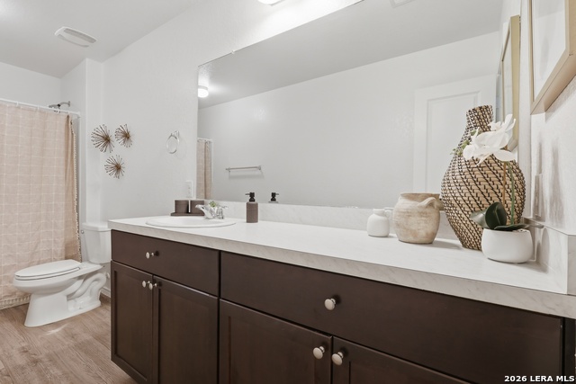 Image 14 of 21 For 5938 Autumn Palms