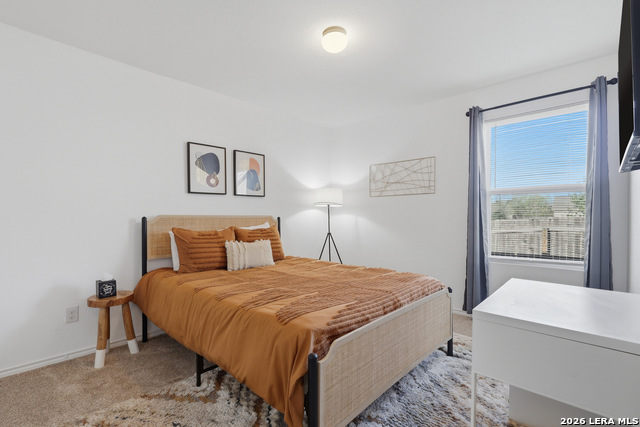 Image 15 of 21 For 5938 Autumn Palms