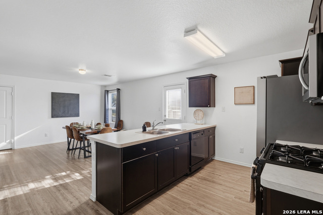 Image 7 of 21 For 5938 Autumn Palms