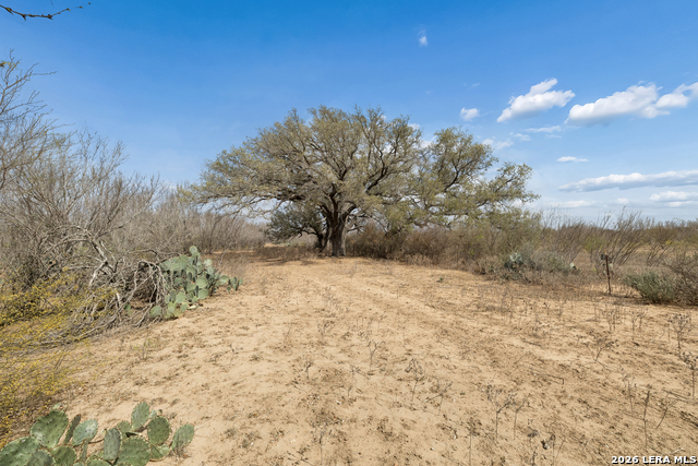 Image 35 of 40 For 854 County Road 7421